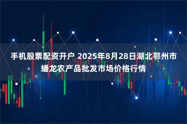 手机股票配资开户 2025年8月28日湖北鄂州市蟠龙农产品批发市场价格行情